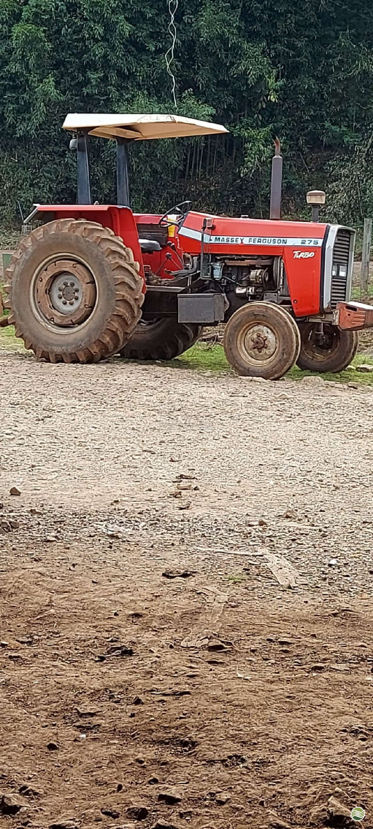TRATOR MASSEY FERGUSON MF 275 Tração 4x2 Montano Máquinas Agrícolas LAGOA VERMELHA RIO GRANDE DO SUL RS